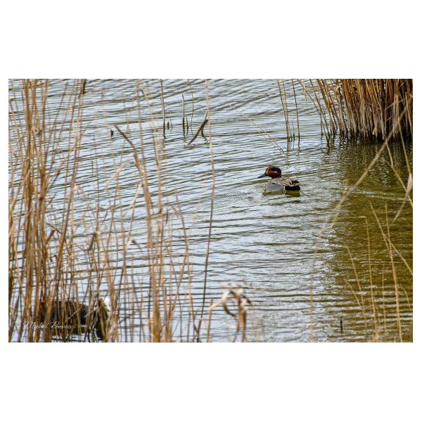 PHOTO84, CLUB, 84 , LUBERON